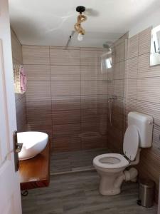 uma casa de banho com um WC, um chuveiro e um lavatório. em Desculti prin iarba- la 6,6 km de centrul Piatra Neamt em Piatra Neamţ