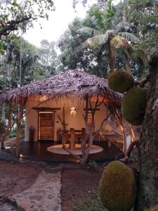 uma pequena casa com telhado de palha em Ella Retreat Cottage for Nature Lovers em Ella