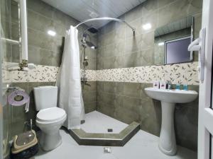 La salle de bains est pourvue de toilettes et d'un lavabo. dans l'établissement Hotel N, à Tskhaltubo