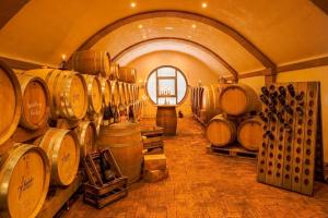 Fotografie z fotogalerie ubytování Main-Vinotel Weingut Helmstetter v destinaci Bürgstadt