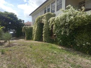 a building covered in ivy next to a yard at Quinta do Arieiro in Arouca