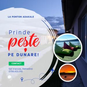Fotografie z fotogalerie ubytování La Ponton AdaKale v destinaci Vrancea