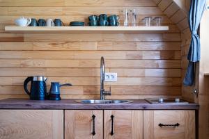 una cucina con lavandino e pareti in legno di Apartments CENTER OF THE WORLD a Žabljak Altre 37 foto