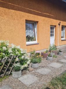 a garden of plants in front of a house at Ferienwohnung Warnitz in Blankenburg Oberuckersee