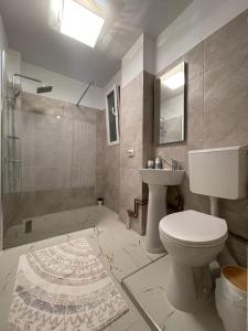 CityViews Apartment Cluj في كلوي نابوكا: حمام مع مرحاض ومغسلة ودش
