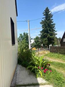 Galeriebild der Unterkunft Apartman Idžo in Žabljak