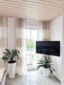 a living room with two potted plants and a flat screen tv at Ferienwohnung -Time to relax- bei Bamberg, mit herrlichem Blick auf das Maintal in Viereth-Trunstadt