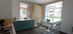 a kitchen with a table and chairs and two windows at L'appartement du CPW in Jalhay