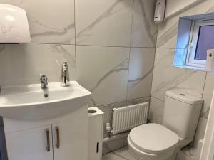 een witte badkamer met een wastafel en een toilet bij Stunning 4-Bedroom Home in Basingstoke