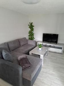 a living room with a couch and a flat screen tv at Haus Angel-am See in Heldrungen