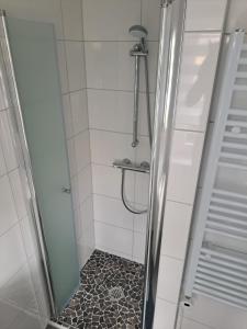 um chuveiro com uma porta de vidro na casa de banho em Haus Angel-am See em Heldrungen