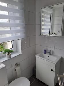 a bathroom with a toilet and a sink and a mirror at Haus Angel-am See in Heldrungen