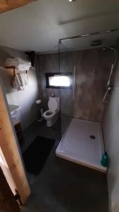 y baño pequeño con ducha y aseo. en appartement in authentiek koetshuis met bedstee, en Moerstraten