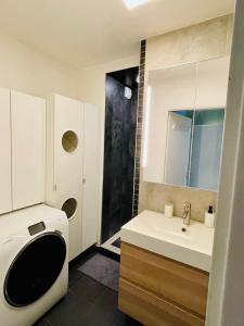 ein Bad mit einem Waschbecken, einem WC und einer Dusche in der Unterkunft Spacious Cozy Apartment close Paris & Flea Market at St Ouen in Saint-Ouen