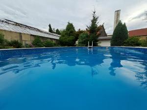 a large blue swimming pool in a yard at Kamélie in Česká Kamenice