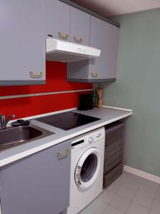 une cuisine avec une machine à laver et un évier dans l'établissement Puerta del Sol -de la Cruz Isabel I0 & Parking, à Madrid