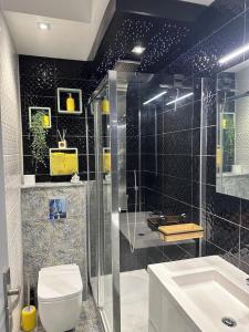ein Bad mit einer Dusche, einem WC und einem Waschbecken in der Unterkunft MAGNIFIQUE VUE MER Place Centrale F2 45 m2 tout confort Travaux en cours sur façade in Canet-en-Roussillon