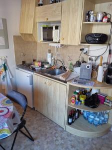 una pequeña cocina con fregadero y un ordenador portátil en un estante en Charmant petit appartement de 20 m2 avec un parking gratuit !, en Thollon-les-Mémises