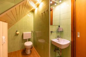 a bathroom with a toilet and a sink at Počitniška hiša Uskovnica in Srednja Vas v Bohinju