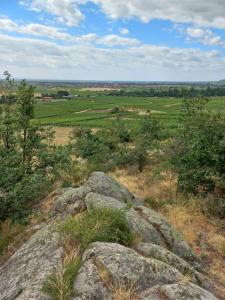 vistas a un campo con rocas y árboles en Gite Au Nid De Cigognes, en Dieffenthal