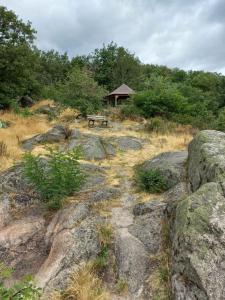 ディーフェンタールにあるGite Au Nid De Cigognesの岩の上に座るベンチ