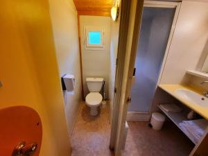 La salle de bains est pourvue de toilettes blanches et d'un lavabo. dans l'établissement Résidence Les Chalets de Millau, à Millau