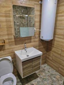 a bathroom with a toilet and a sink and a mirror at Spacious Apartment next to South Park Просторен Апартамент до Южен Парк Top Location in Sofia +26 photos