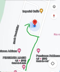 a map of the experimental centre of aedes aegyptiae at Ela's apartment in Băile Herculane