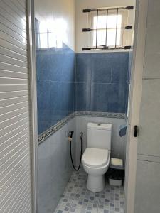 a bathroom with a toilet and a shower at Villa de la Playa in Blue Bay