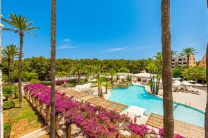 - une vue sur la piscine du complexe bordée de palmiers et de fleurs violettes dans l'établissement Hotel Rosella affiliated by Intelier, à Sa Coma