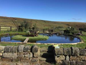 a stone wall in front of a pond in a field at Knoll Top Cottage in Todmorden
