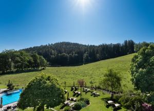 a group of cows grazing in a field next to a pool at Hotel Kesslermühle in Hinterzarten