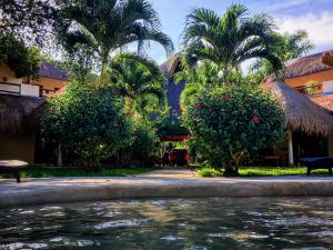 un bâtiment avec des palmiers et une piscine d'eau dans l'établissement La Villa Mexicana by Diving Prestige, à Xpu Ha