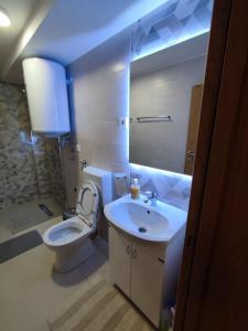 a bathroom with a sink and a toilet and a mirror at MP Apartman in Soko Banja