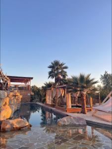 - une piscine dans une cour avec des palmiers dans l'établissement Villa Occitana, à Calvisson