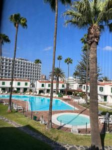 a large swimming pool with palm trees and a hotel at Bungalow Carmen in San Bartolomé de Tirajana