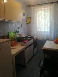 A kitchen or kitchenette at Villa Zorka