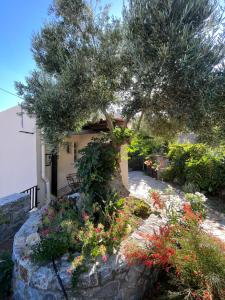 Vonkajšia záhrada v ubytovaní Petasos House - Garden - Sea View