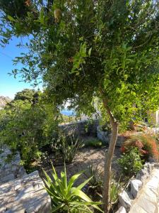 Vonkajšia záhrada v ubytovaní Petasos House - Garden - Sea View