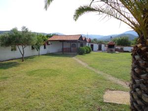 a house with a yard with a palm tree at Vergina Pension in Sarti