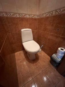 ein Bad mit WC in einem gefliesten Zimmer in der Unterkunft Central House in Lwiw