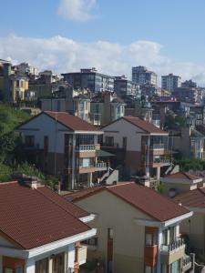 トラブゾンにあるTrabzon Boztepe Paradise Villaの家屋のある街並み