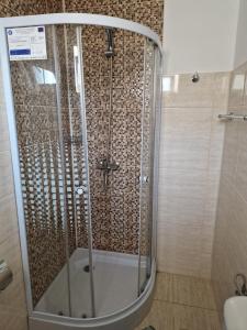 W łazience znajduje się prysznic ze szklanymi drzwiami. w obiekcie Casa Ivana w mieście Murighiol
