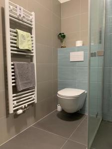 Koupelna v ubytování Apartmán Šantova