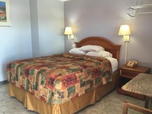 Postel nebo postele na pokoji v ubytování Budget Inn Plainview