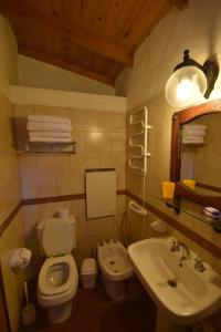 a bathroom with a toilet and a sink and a mirror at Cabañas Río Molle in Tafí del Valle