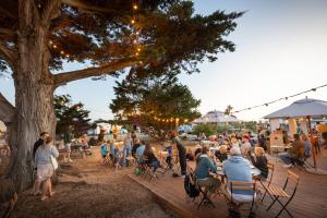 Une foule de gens assis à des tables sous un arbre dans l'établissement Huttopia Ars-en-Ré, à Ars-en-Ré