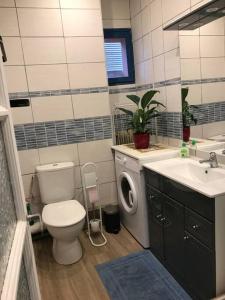 une salle de bain avec un lavabo et une machine à laver dans l'établissement Superbe T2 dans un parc arboré, à Lamalou-les-Bains