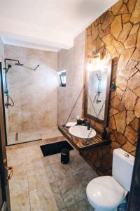Un baño con lavabo, ducha e inodoro. en Pensiunea Tara Codrului, en Asuaju de Sus 39 fotos más
