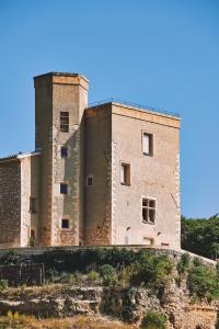ein altes Schloss auf einem Hügel in der Unterkunft Domaine La Ferme HI bride in Villelaure